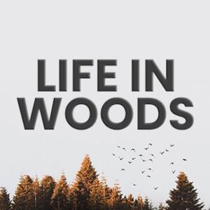 La veuve des nuits des noces