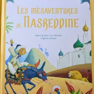 LES MESAVENTURES DE NASREDDINE