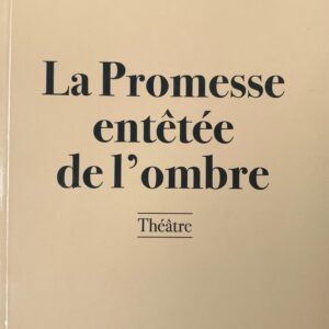 La promesse entêtée de l'ombre