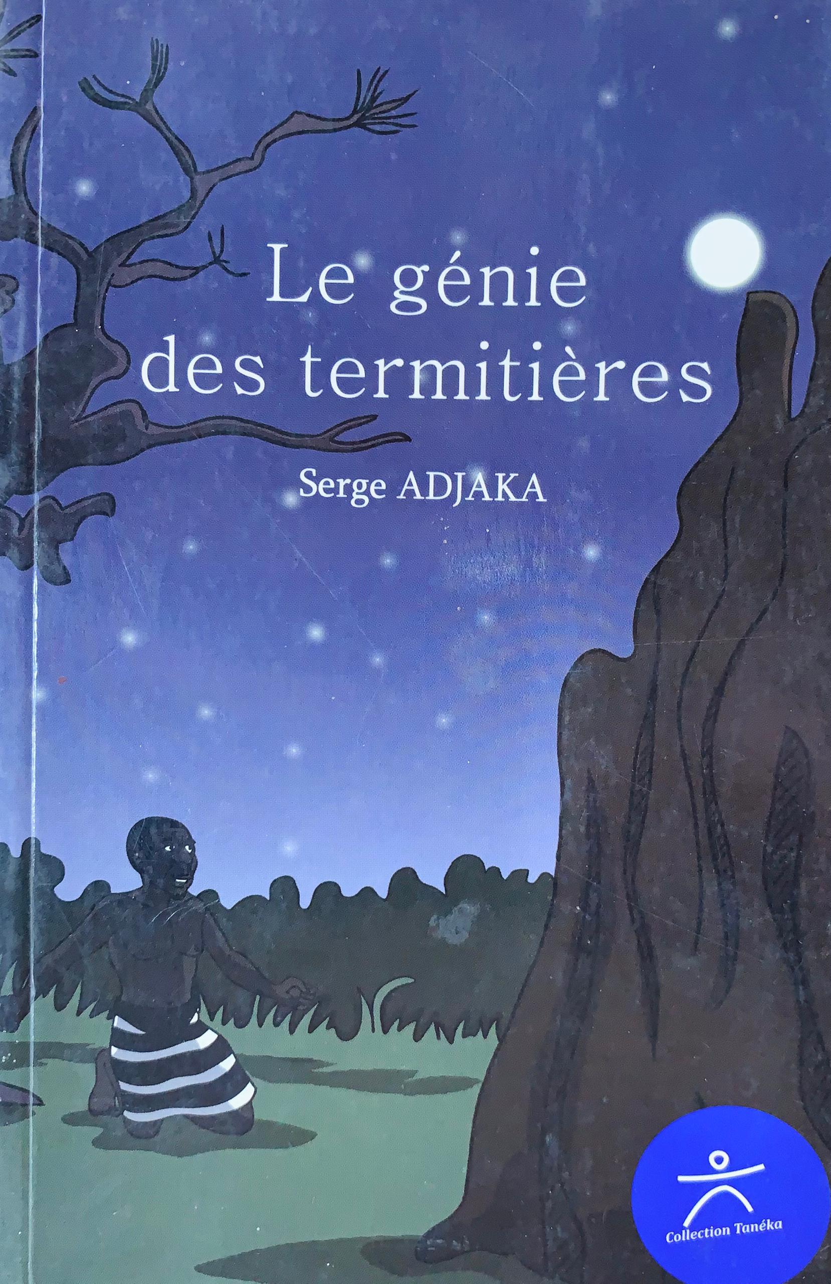 Le génie des termitières