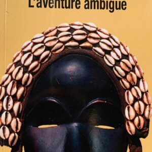 L'AVENTURE AMBIGUË