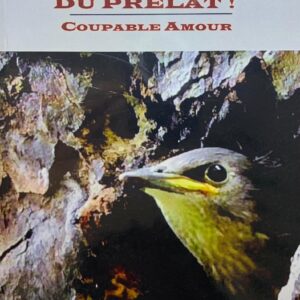 LE DILEMME DU PRÉLAT: COUPABLE AMOUR