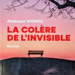 LA COLÈRE DE L'INVISIBLE
