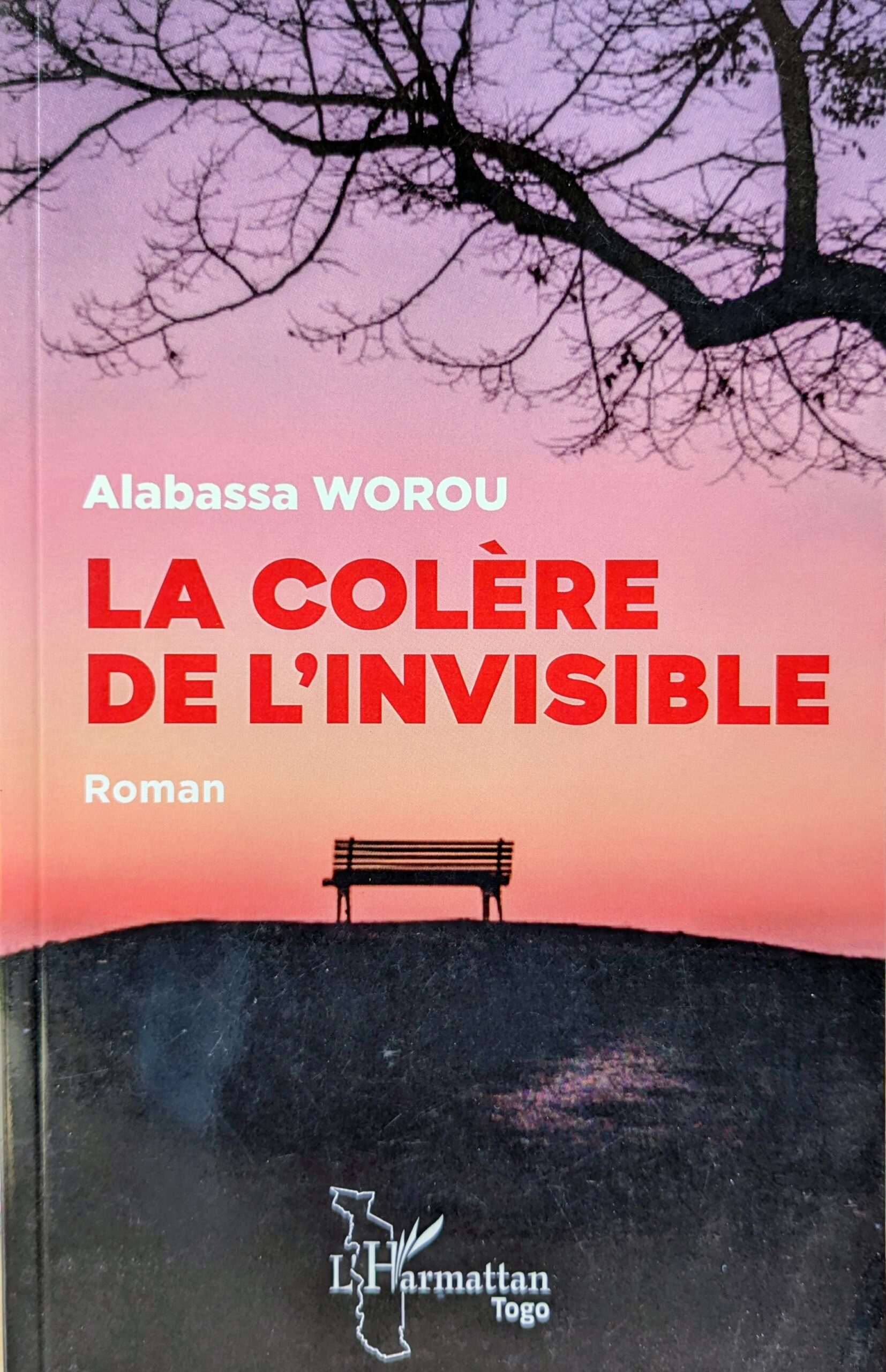 LA COLÈRE DE L'INVISIBLE