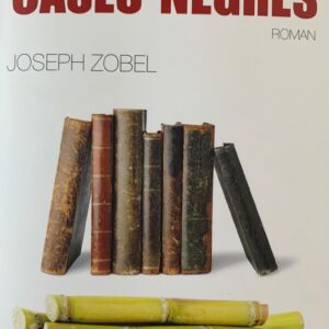 LA RUE CASES-NEGRES